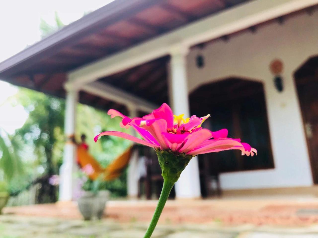 Kawshan Home Stay Dickwella Exterior photo